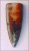PANORAMA PLUME AGATE DESIGNER CABOCHON (Canada) � 13+ ct.